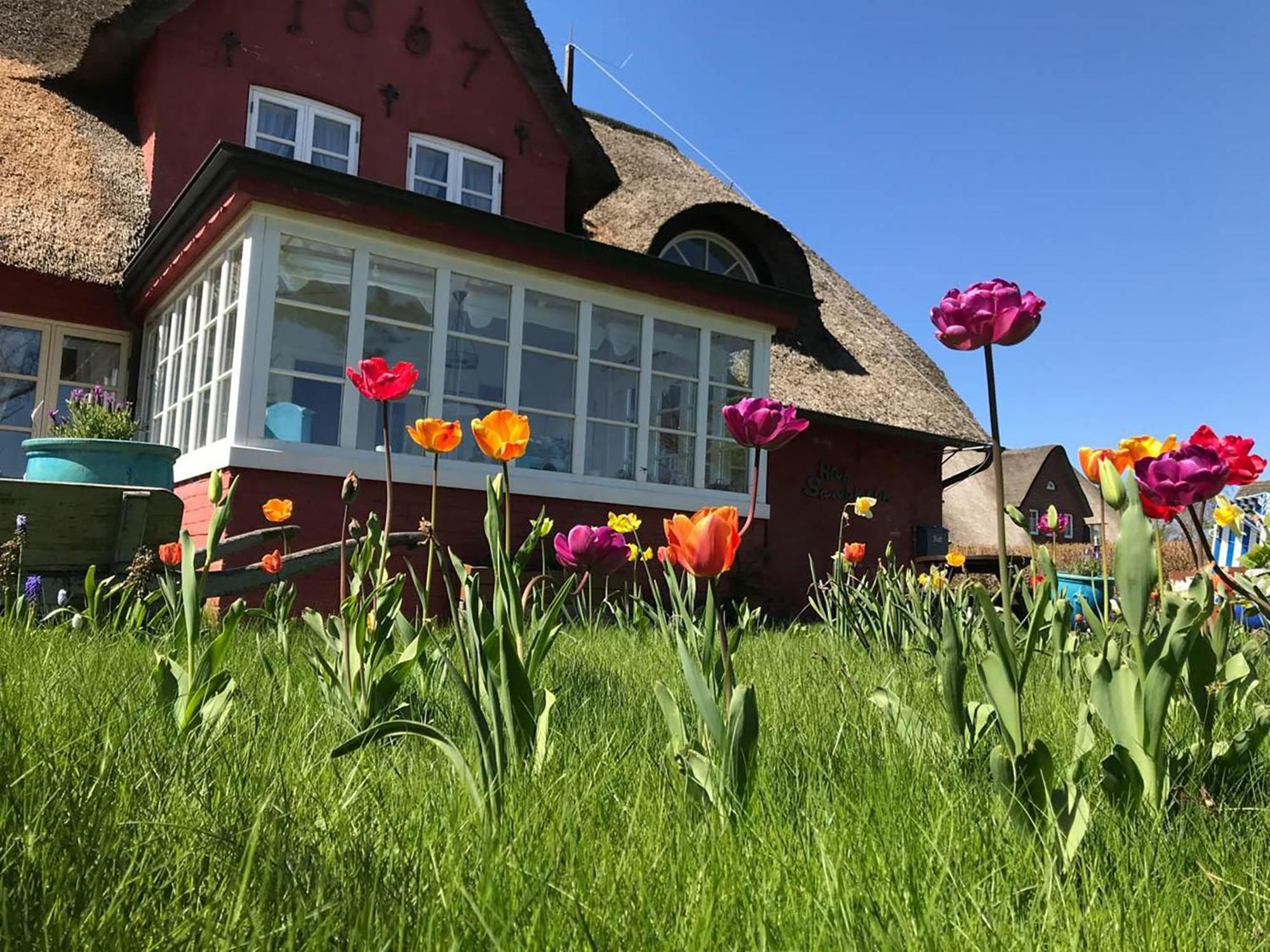 Hues Sanskiin Ferienwohnung *Brombelbei* Suddorf Exterior photo